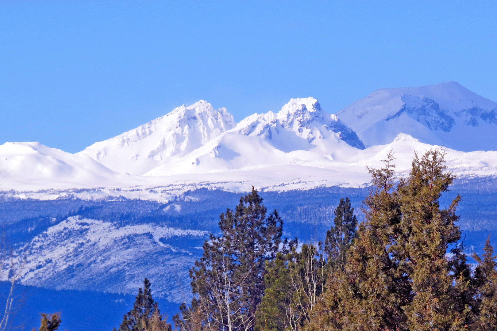 Awbrey Butte Rea Company Homes Custom Builders in Bend Oregon