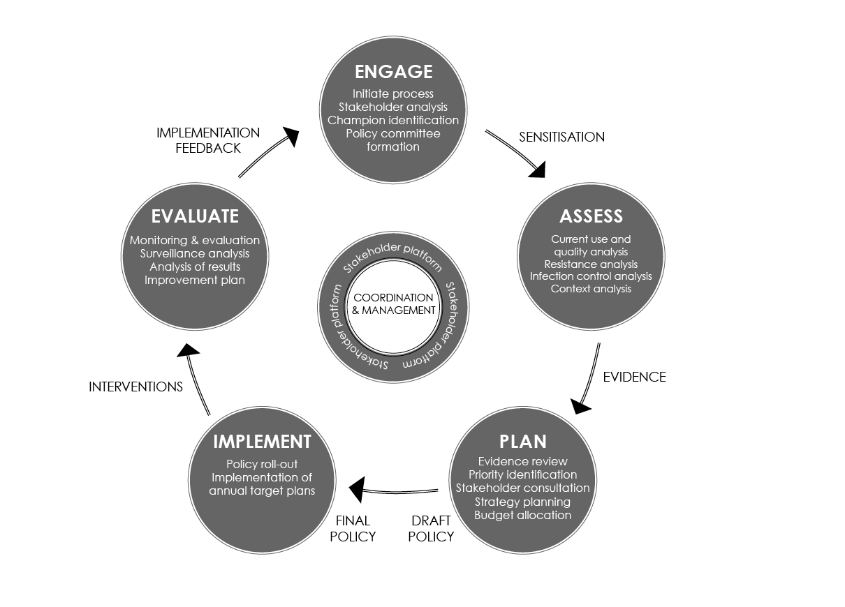 Develop a national action plan Policy ReAct