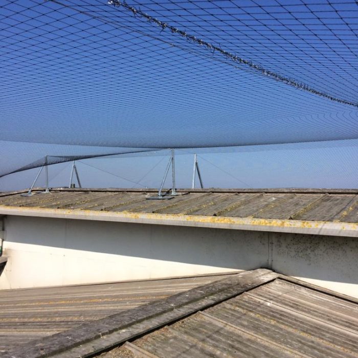 Supermarket roof netting Reactive Group Services