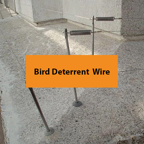 Bird Control Reactive Group Services