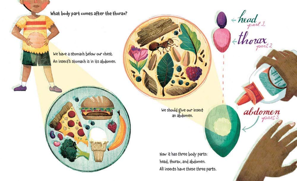 How to Build an Insect