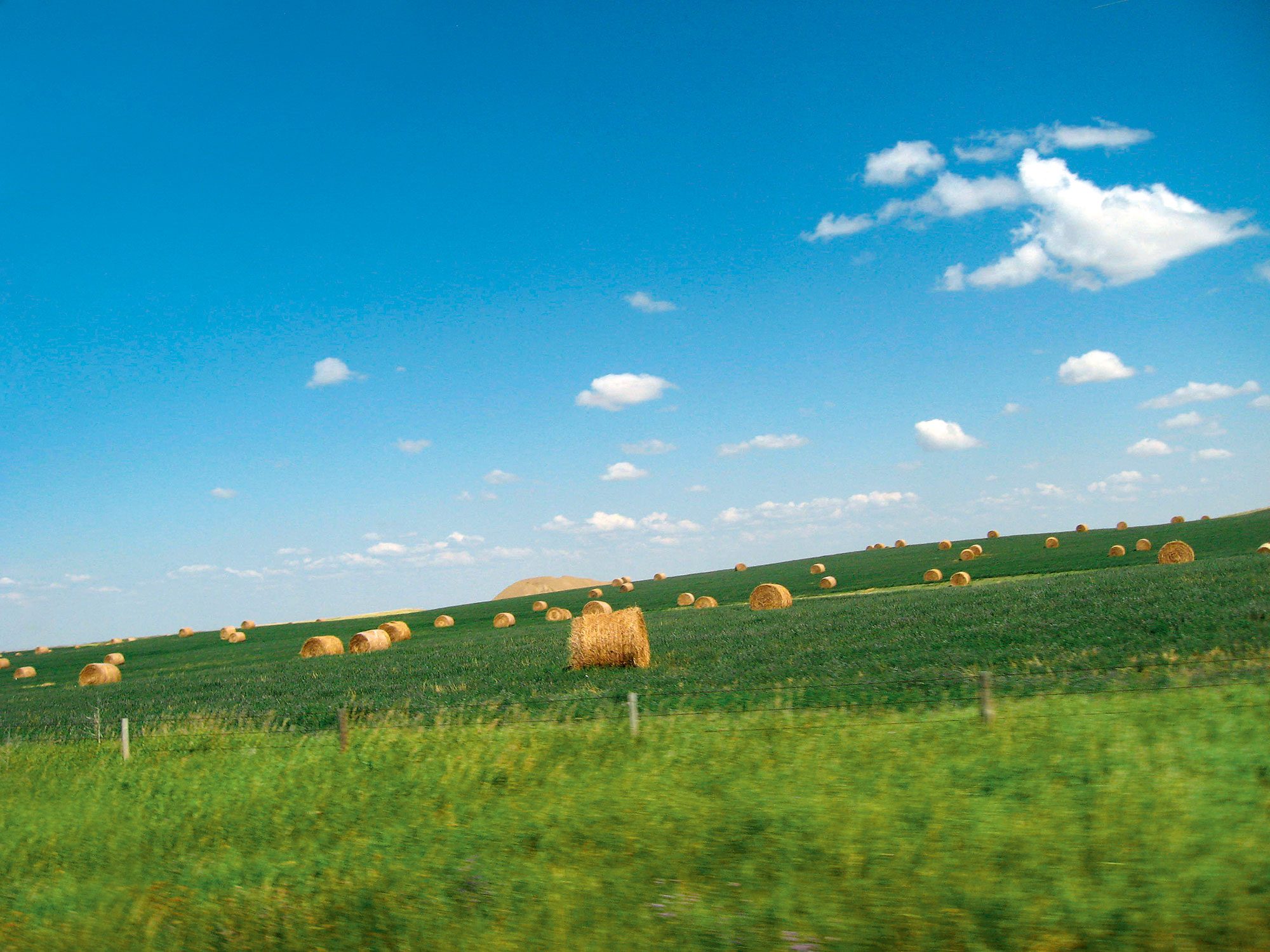 Fields of Gold Harvest Time in Canada Our Canada