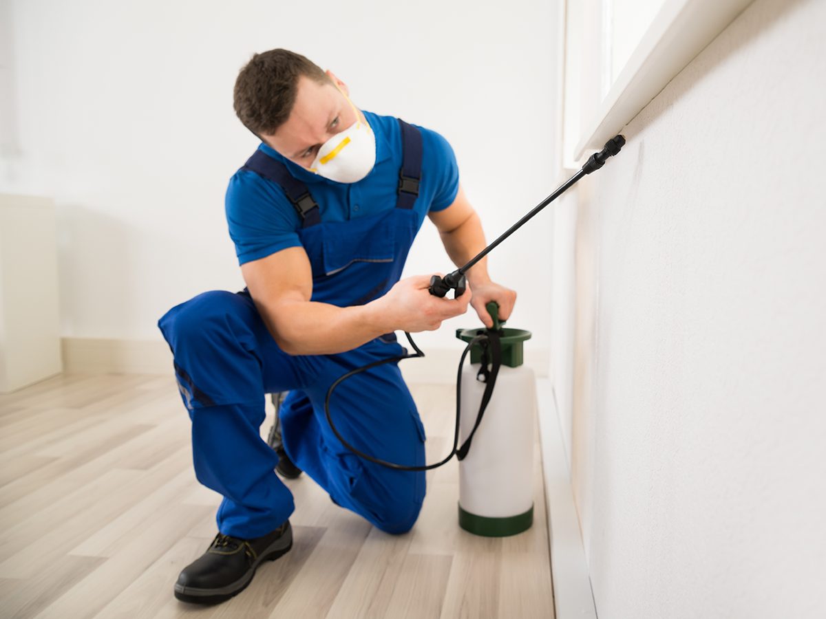 13 Secrets Your Exterminator Wants You to Know Reader's Digest