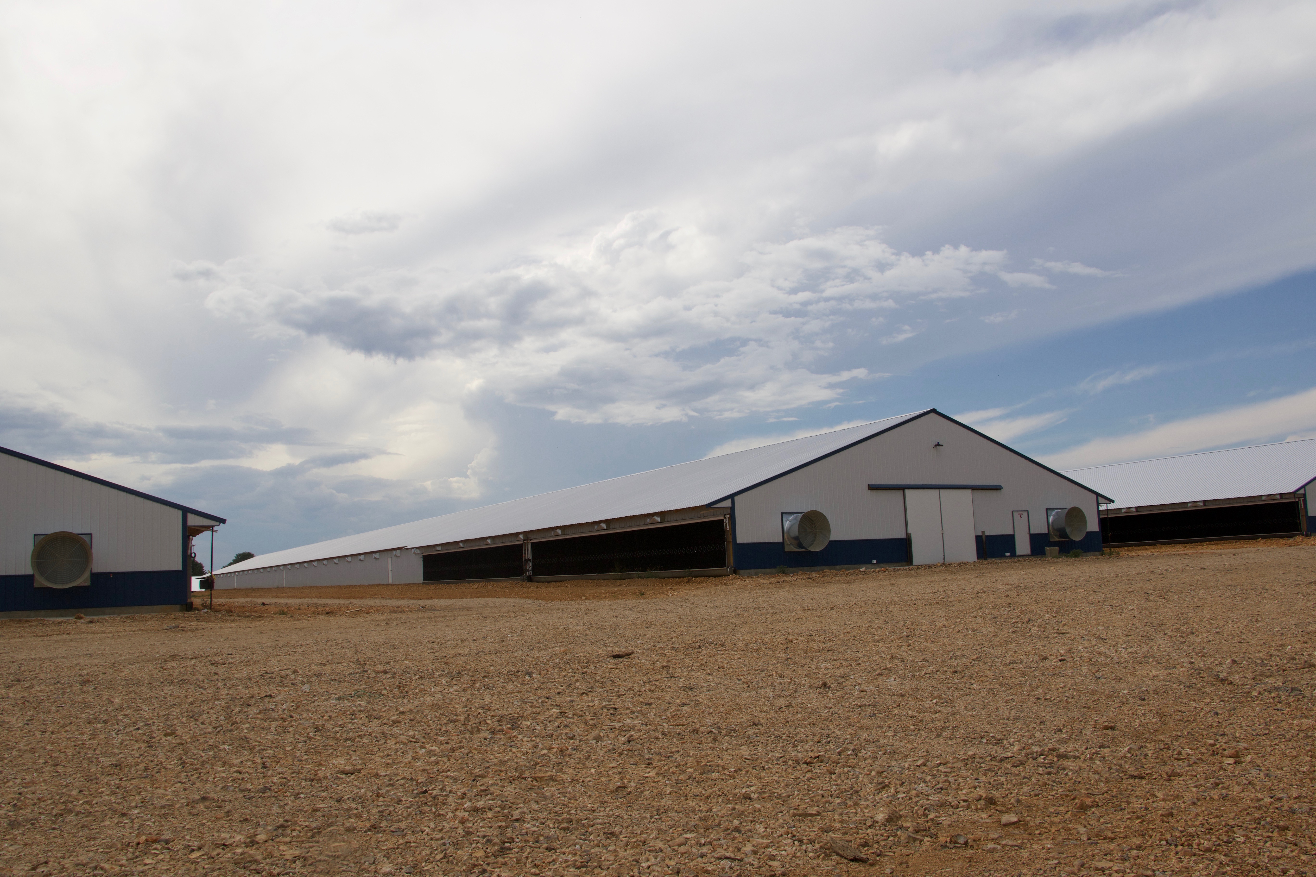 State gives green light to new poultry operation after suspending