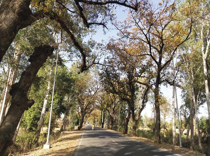 Value Addition Magazine on Low External Input Sustainable Agriculture