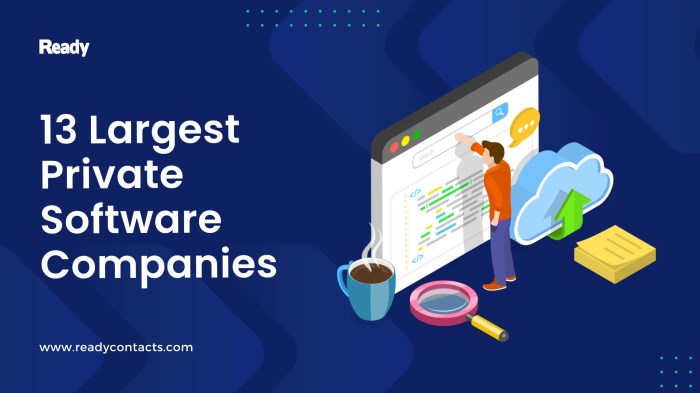 Company profile 2012 technology software private