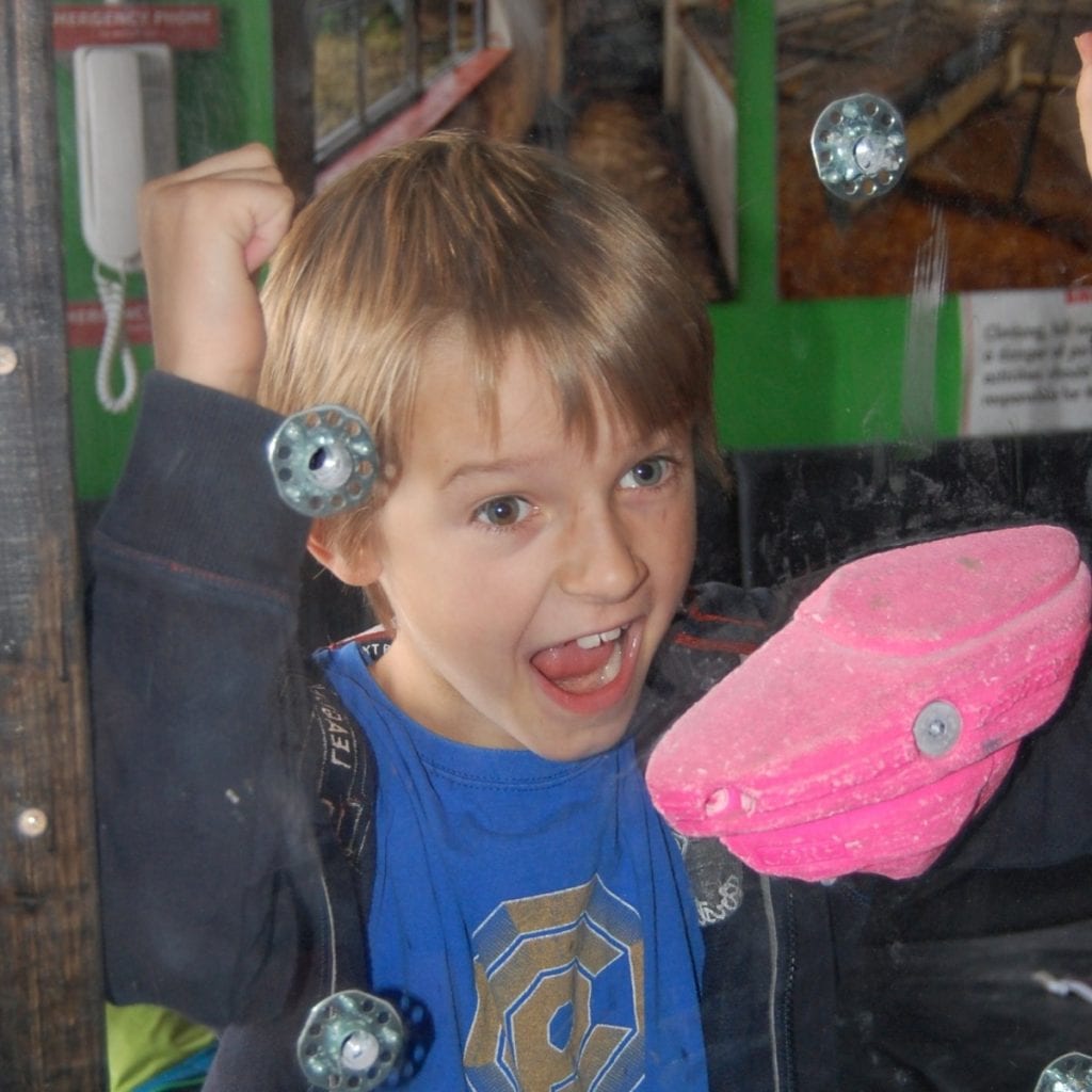 12YearOld Who’s Too Young To Watch Horror Films At The Cinema Makes