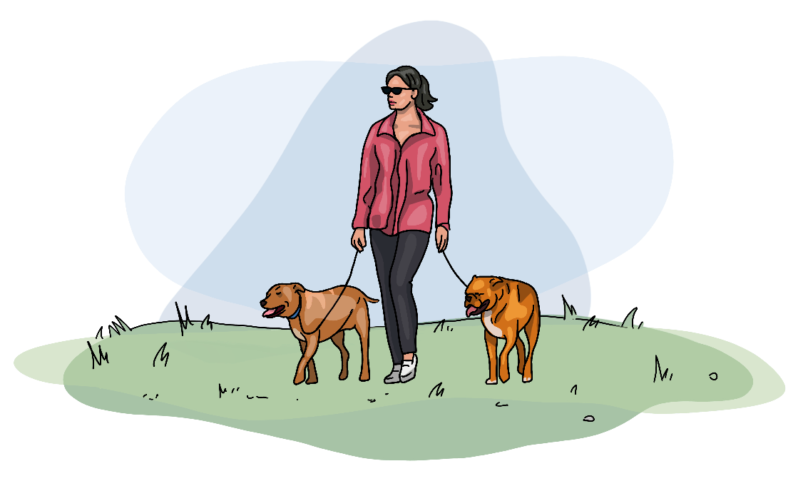 Real Dog Pack Walks Structured & Safe Canine Socializing!