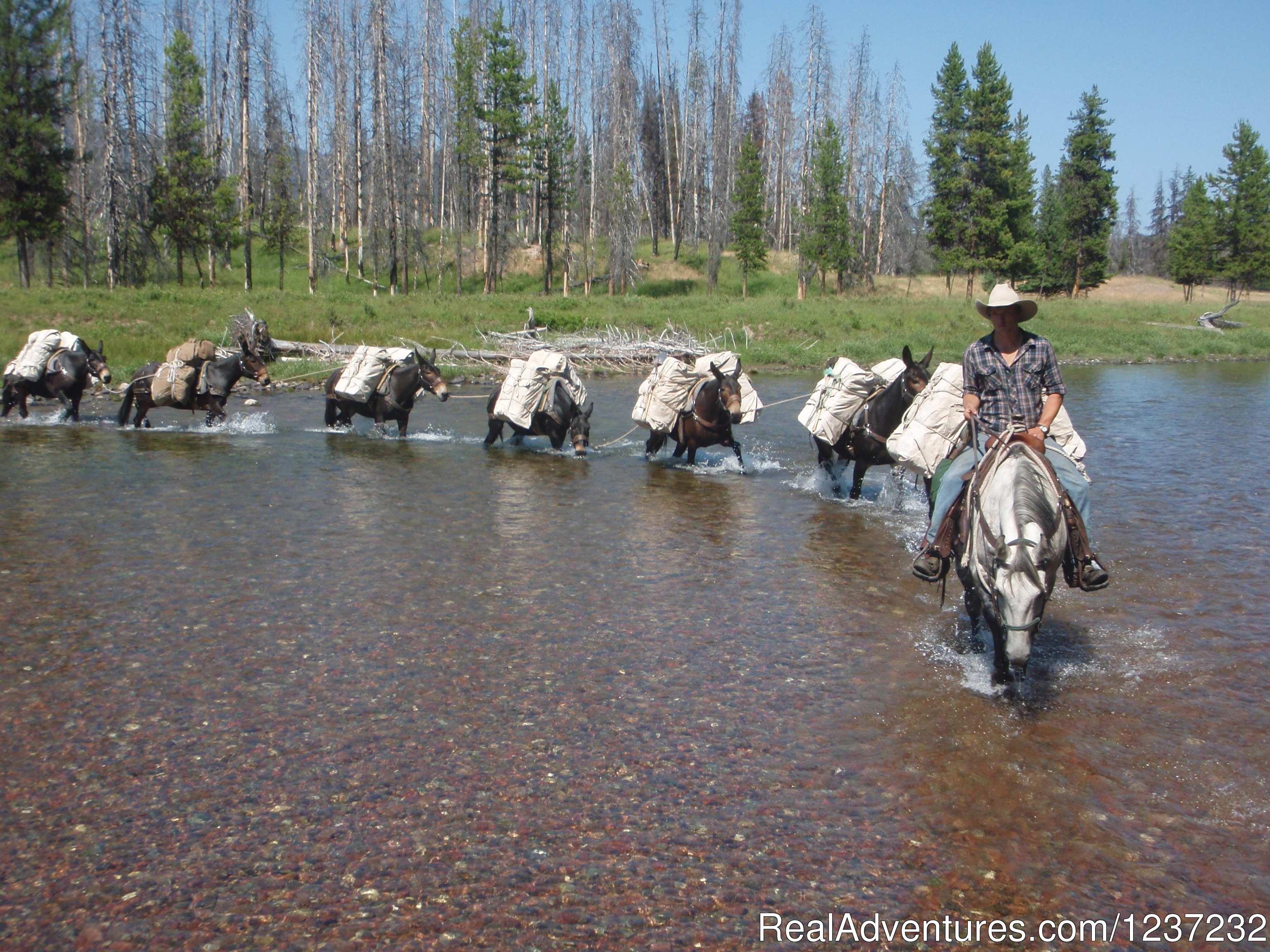 Horseback Riding Adventures, Seeley Lake, Montana Horseback Riding