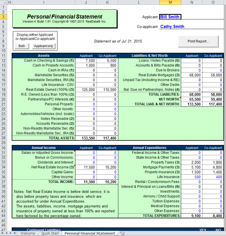 Entering Data on the Balance Sheet RealData Software