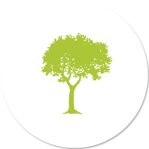 Careers John Burns Real Estate Consulting