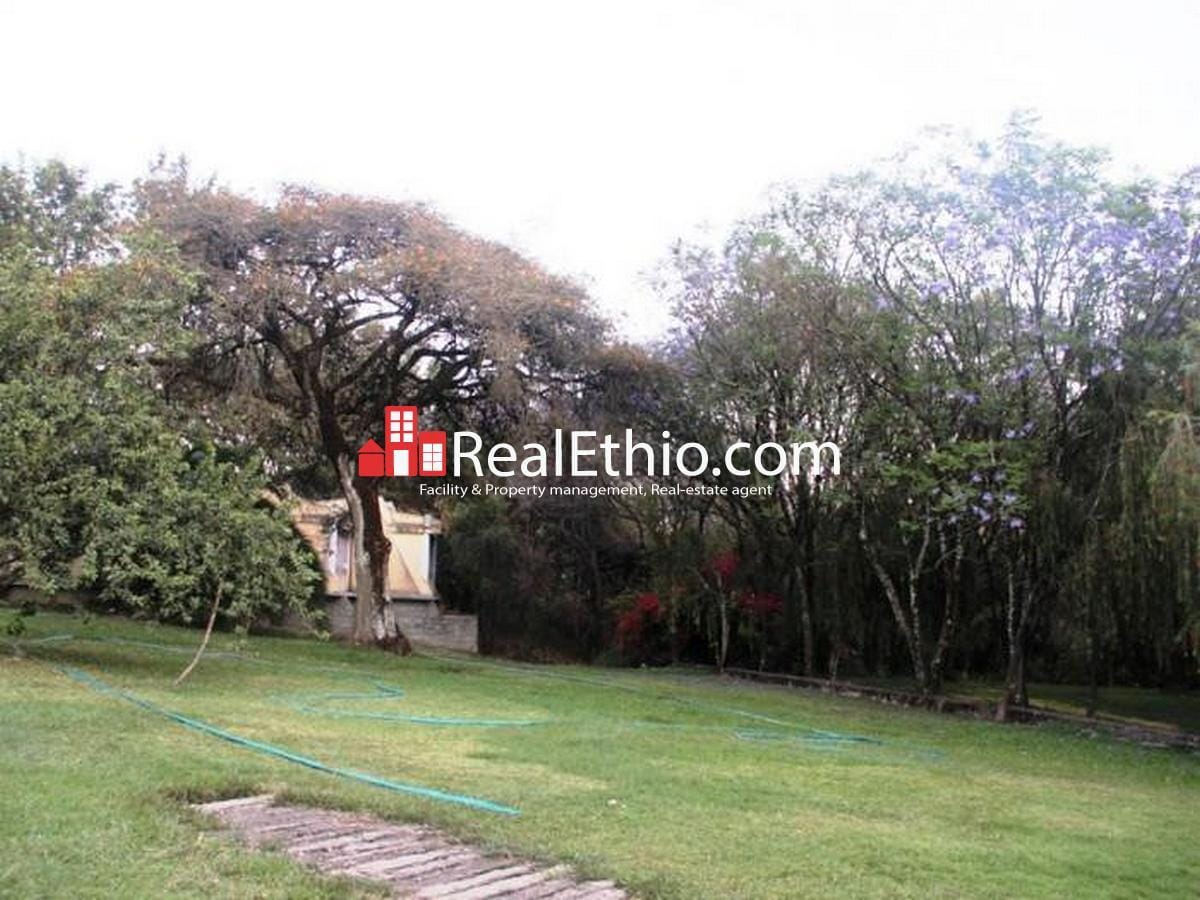 Kality, 8 bedrooms, house for sale, Addis Ababa. Real Ethio