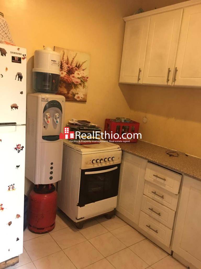 Goro, furnished 3 bedrooms house for rent, Addis Ababa. Real Ethio
