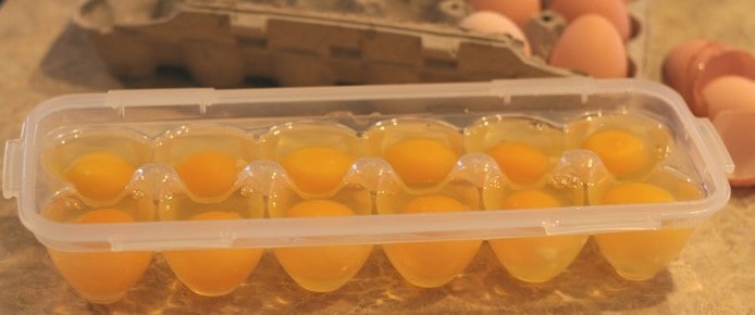 Your Guide on Freezing Scrambles Eggs Can You Freeze Scrambled Eggs