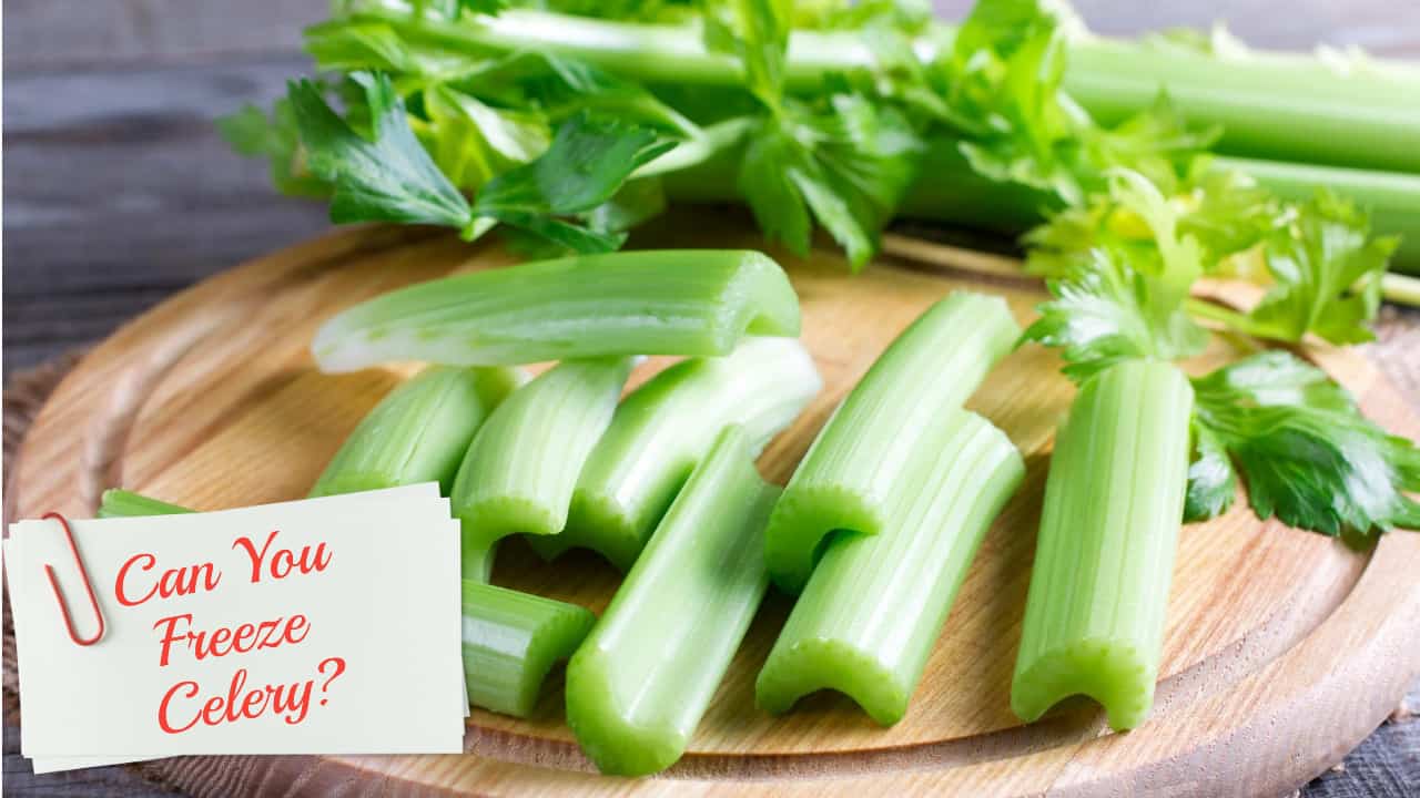 Can You Freeze Celery?