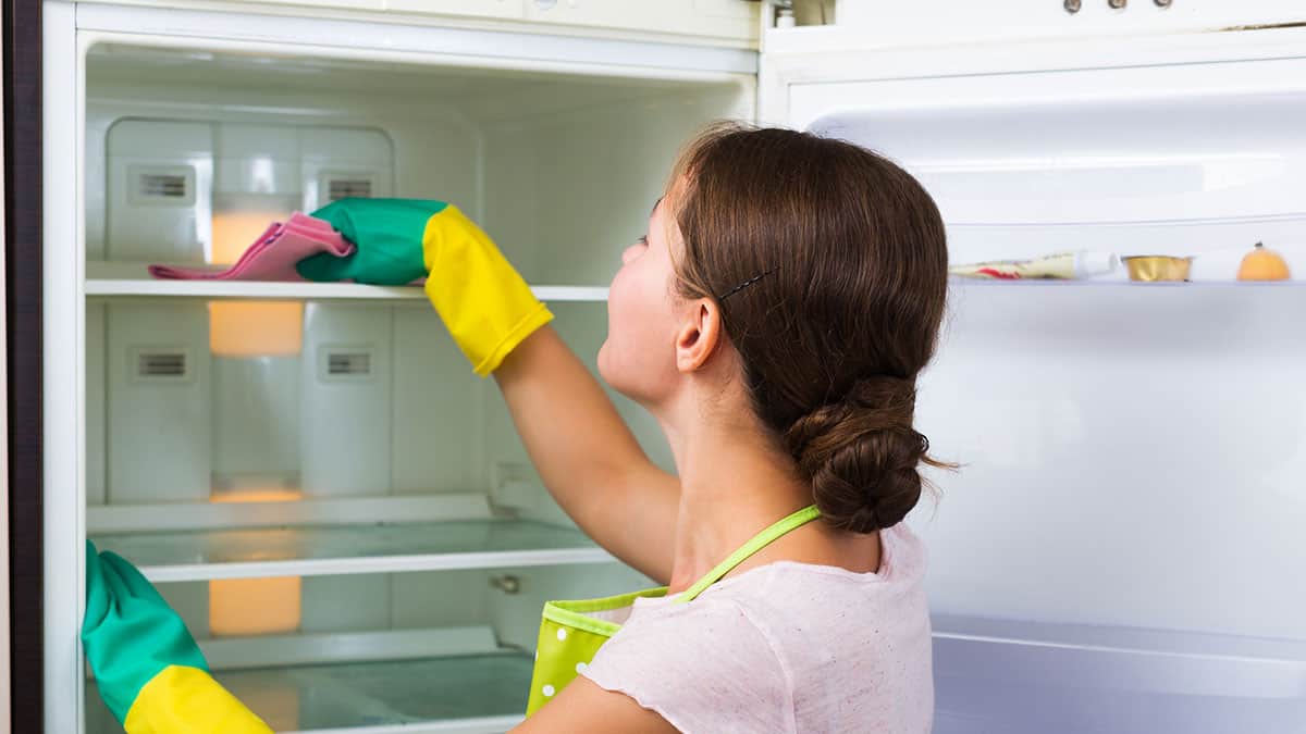 Why does my Fridge Smell and How to Remove it Real Food Enthusiast