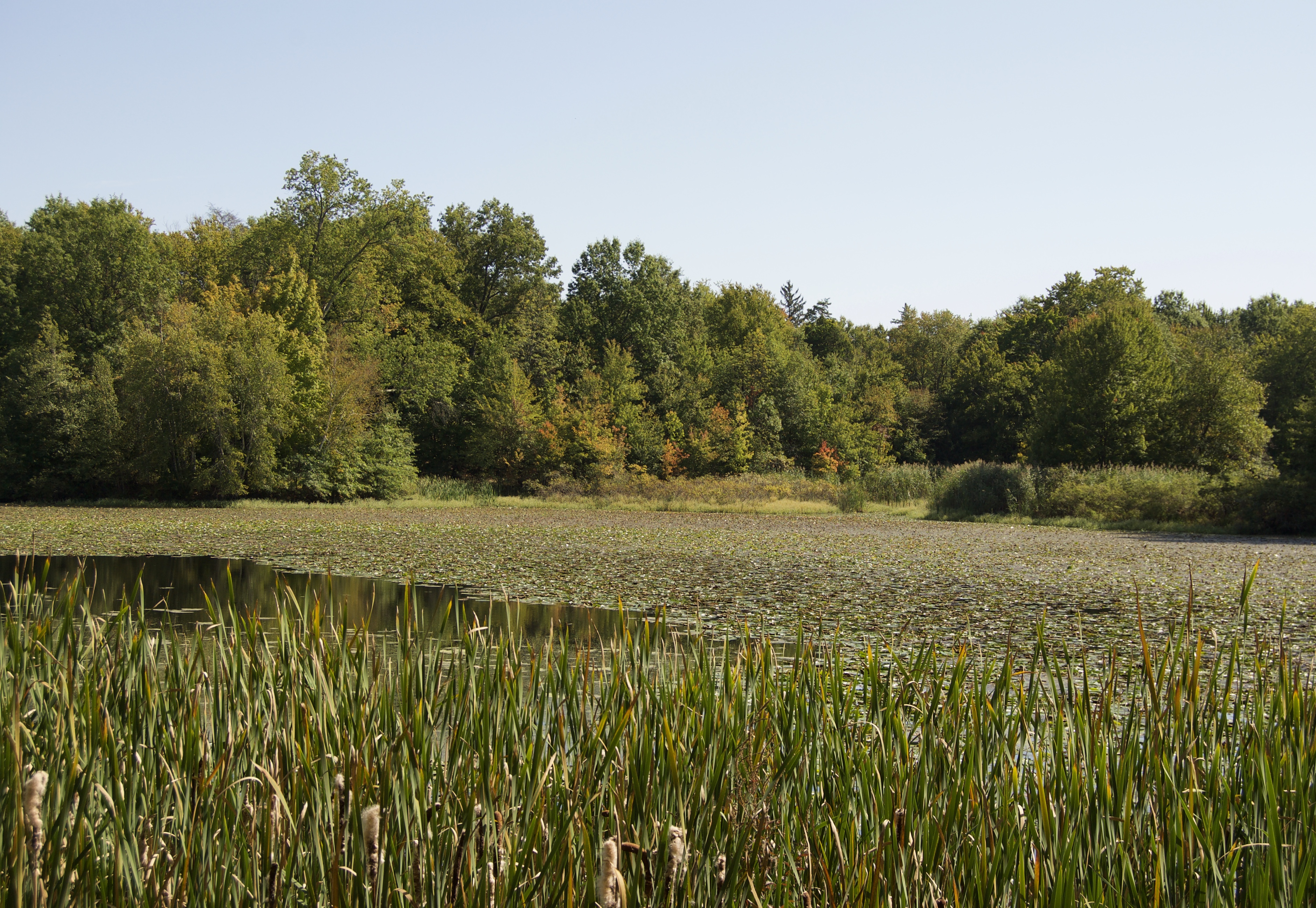 13 Things To Know About Cedar Mountain Real Hartford