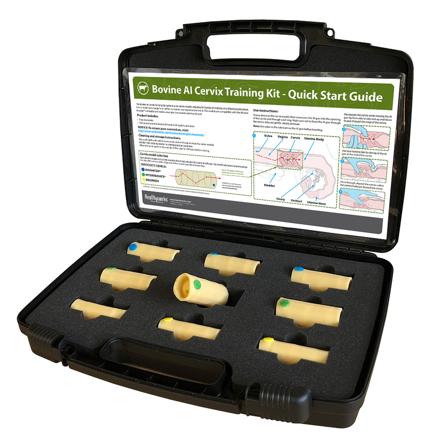 Free Delivery and Returns New Styles Every Week Cervix simulator for