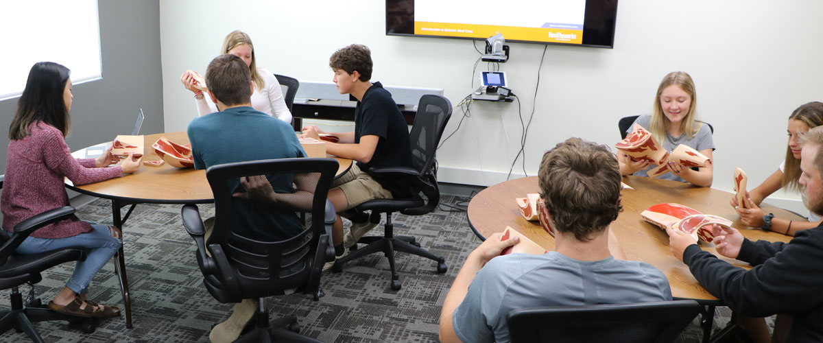 Our Favorite New Teaching Aids From 2021 Realityworks