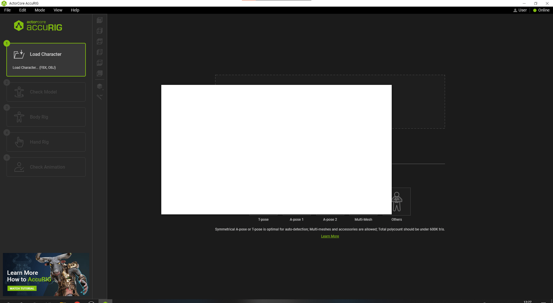 White box appears and blocks the usage of AccuRig Feedback Tracker