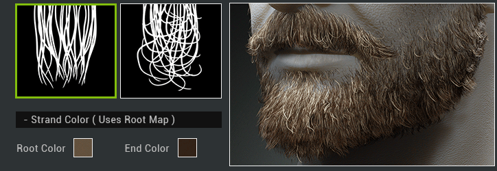 Smart Hair Character Creator Reallusion