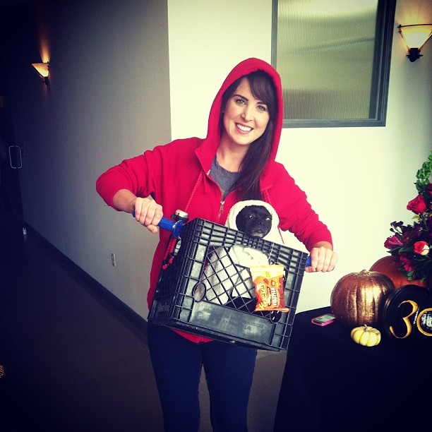 PETS DIY ET and Elliot costume Really Awesome Costumes