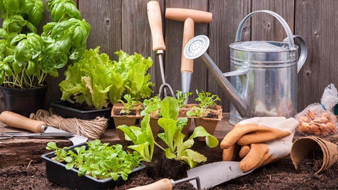 Searchalot Level 67 Answers » Qunb