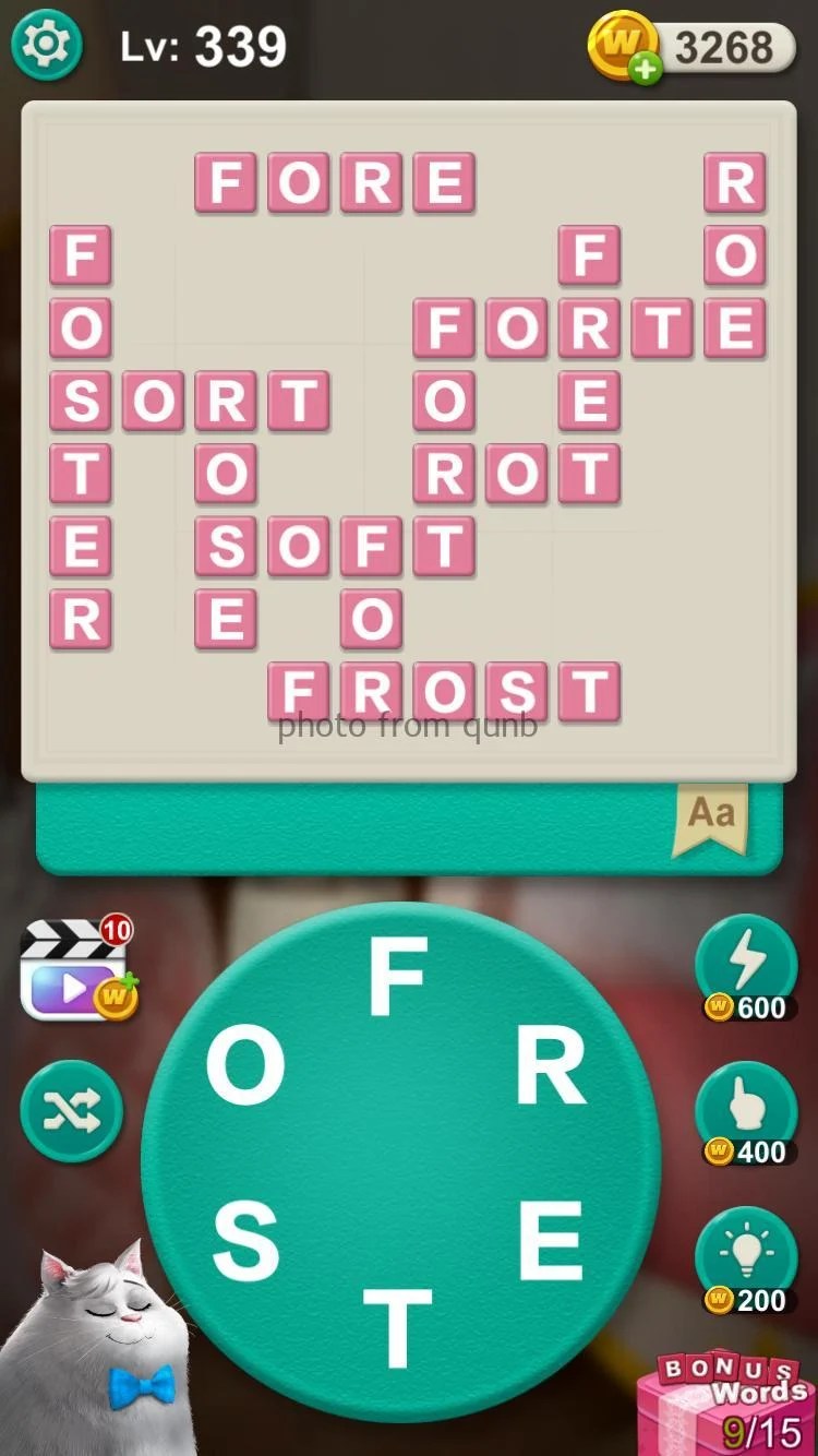 Word Villas Level 339 » Qunb
