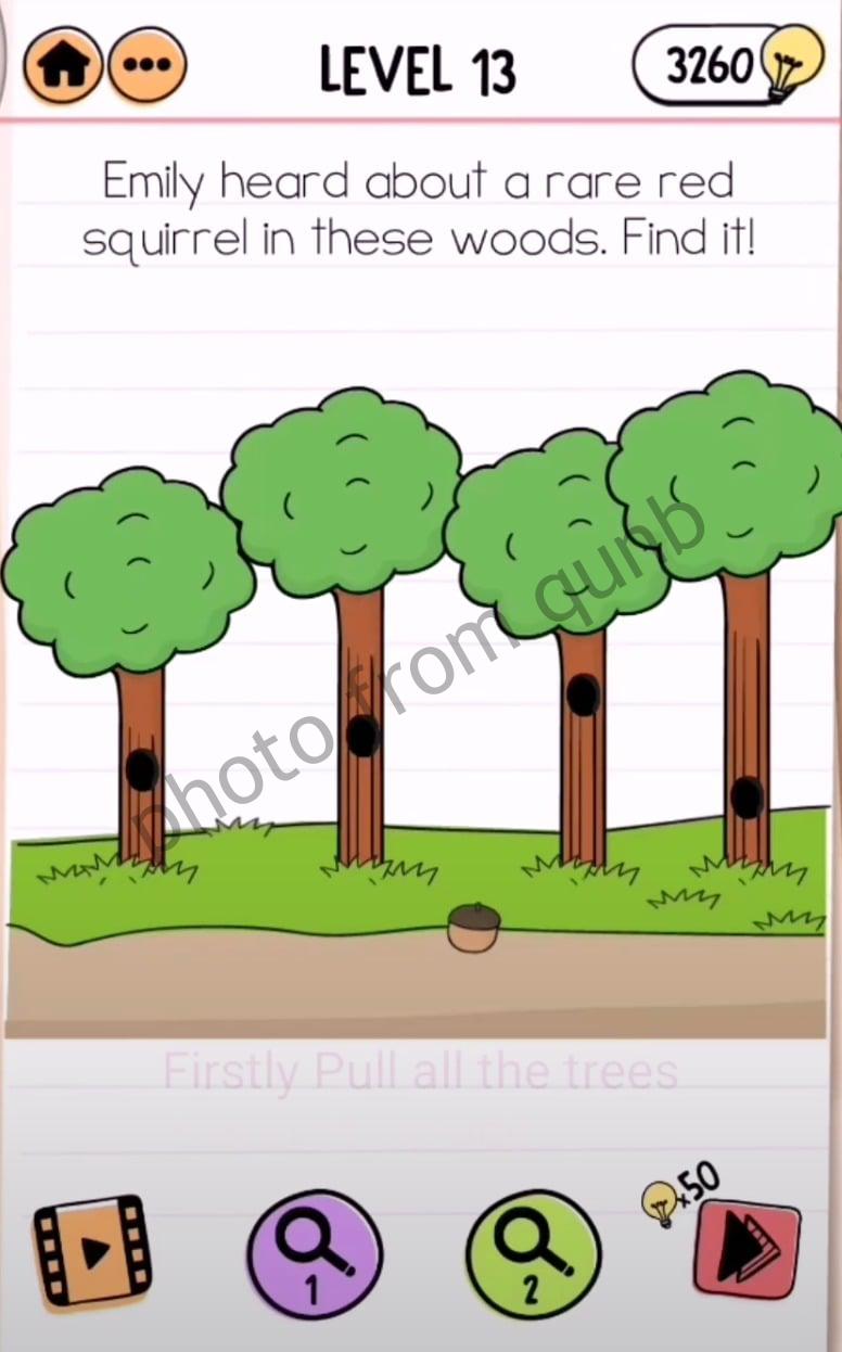 Brain Test 2 Emily's Farm Level 13 Emily heard about a rare red squirrel in these woods. Find it