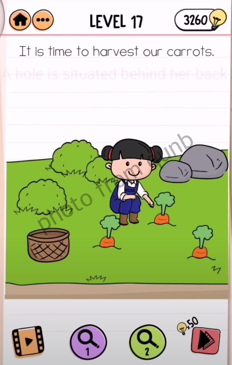 Brain Test 2 Emily's Farm Level 17 It is time to harvest