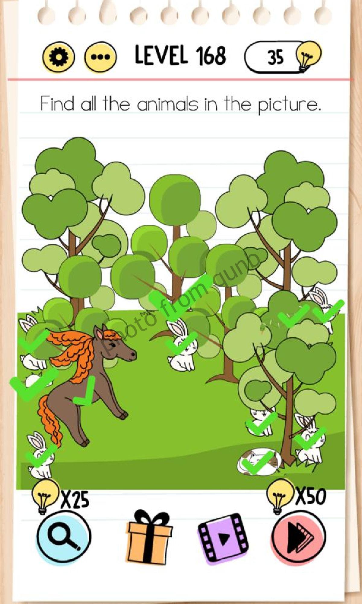 Brain Test Level 168 Find all the animals in the picture
