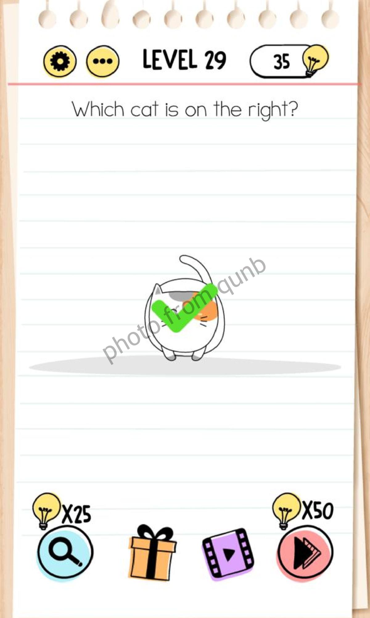 Brain Test Level 29 Which cat is on the right Answers