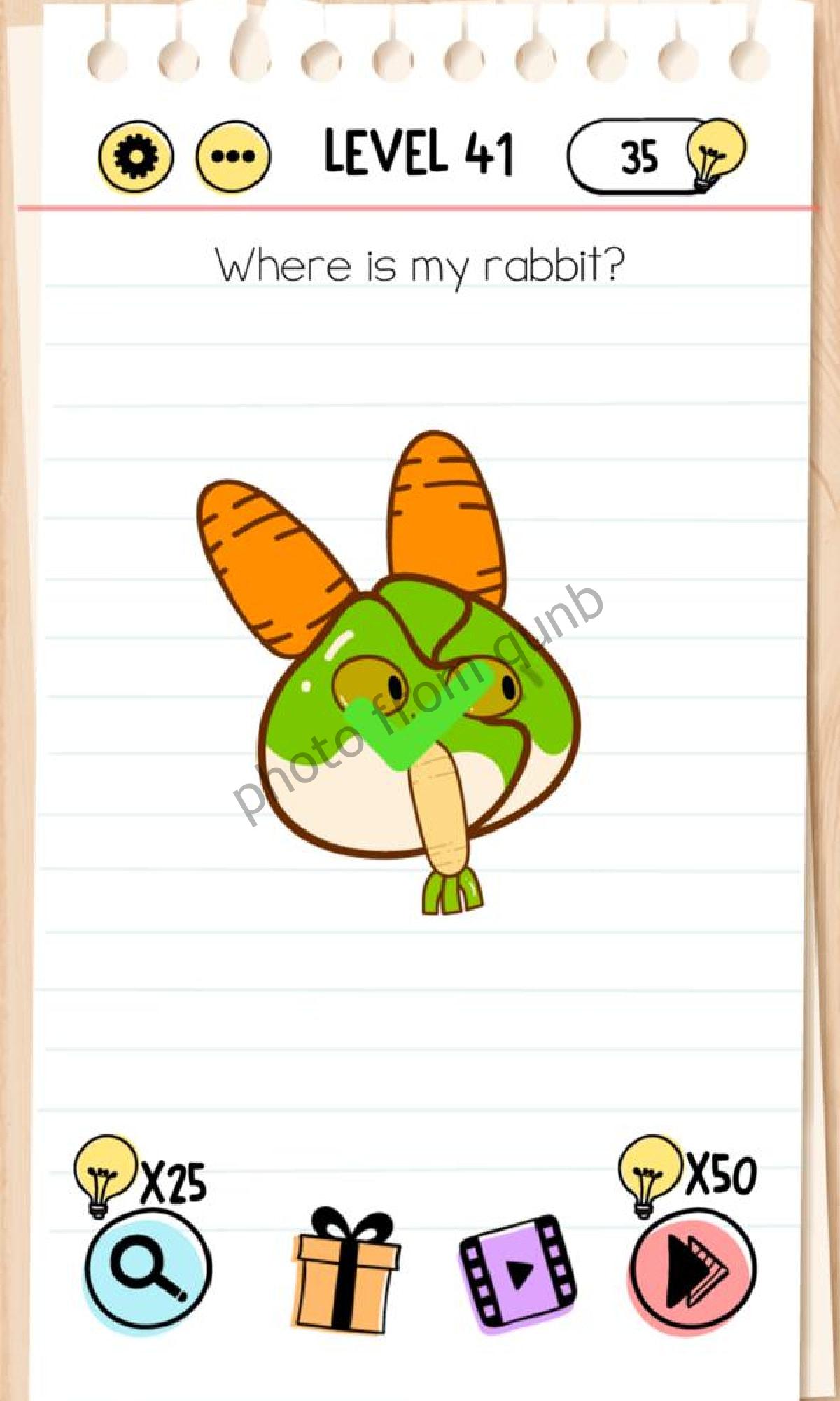 Brain Test Level 41 Where is my rabbit Answers Solutions