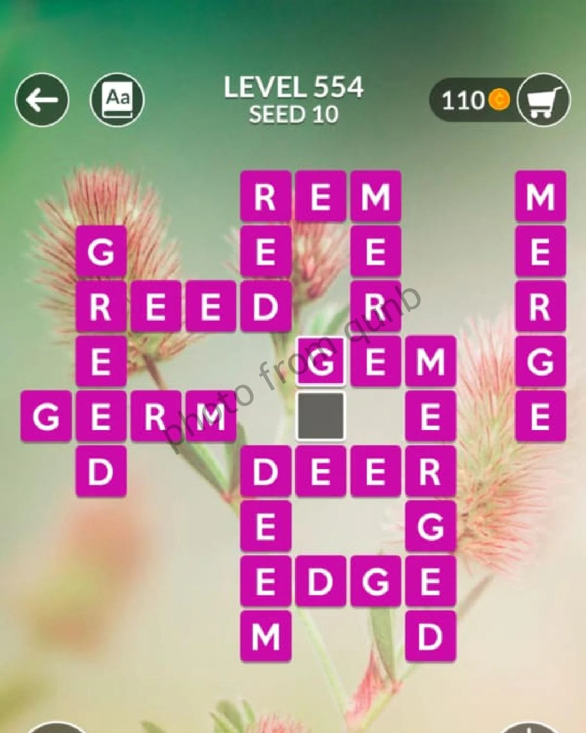 Wordscapes Level 554 Seed 10 Answers