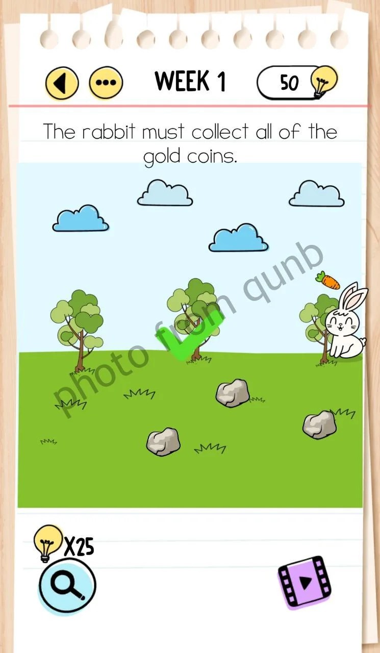 Brain Test Week 1 » qunb