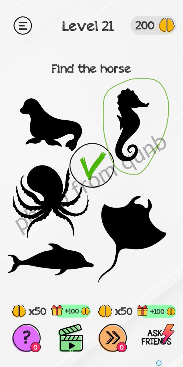 Braindom Level 21 » Qunb