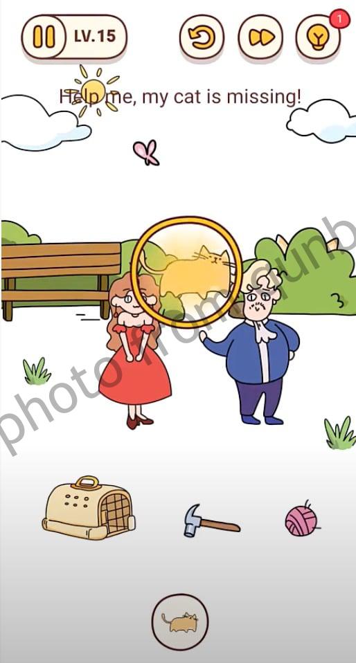 Brain Find Level 15 » Qunb