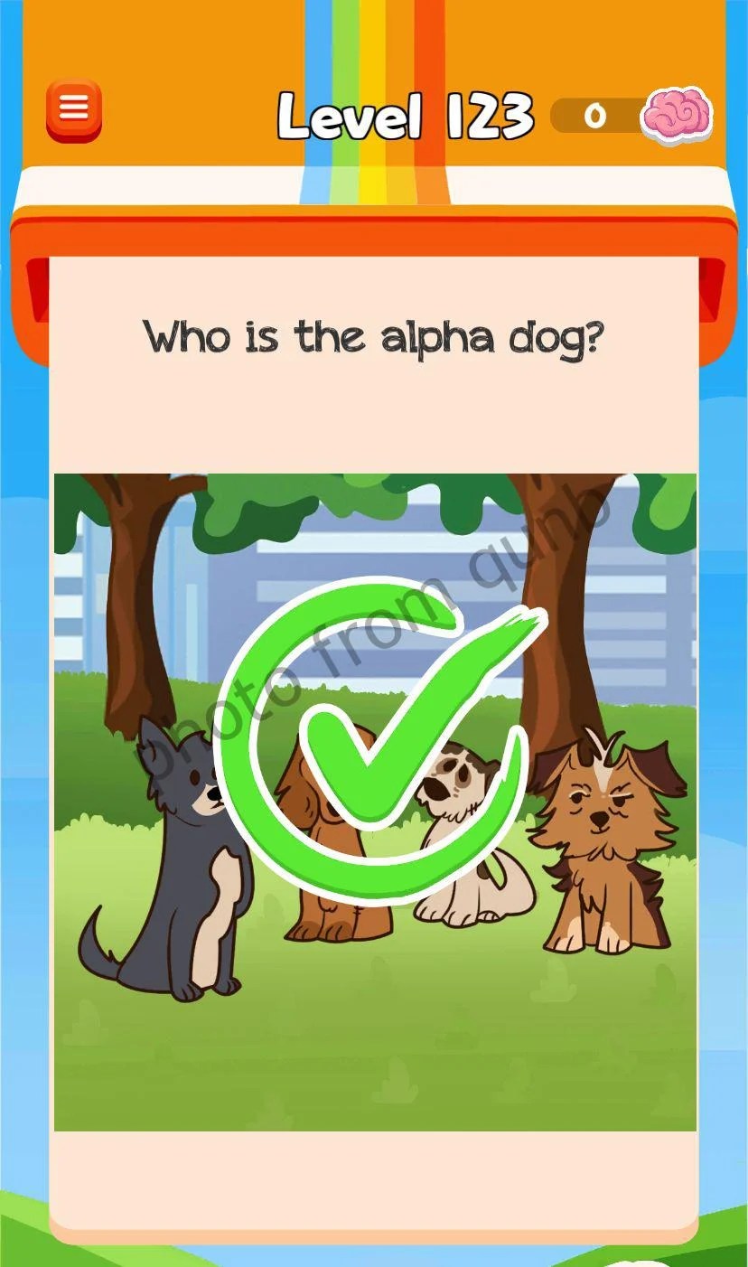 Braindom 3 Level 123 » qunb