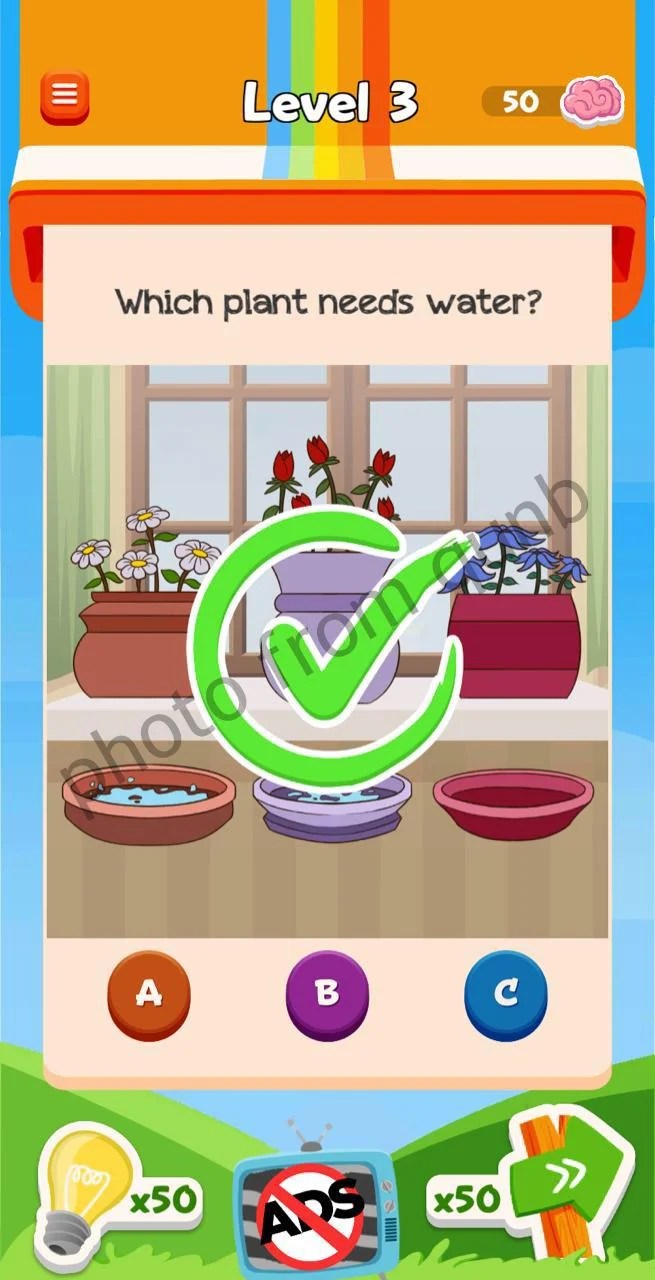 Braindom 3 Level 3 » qunb