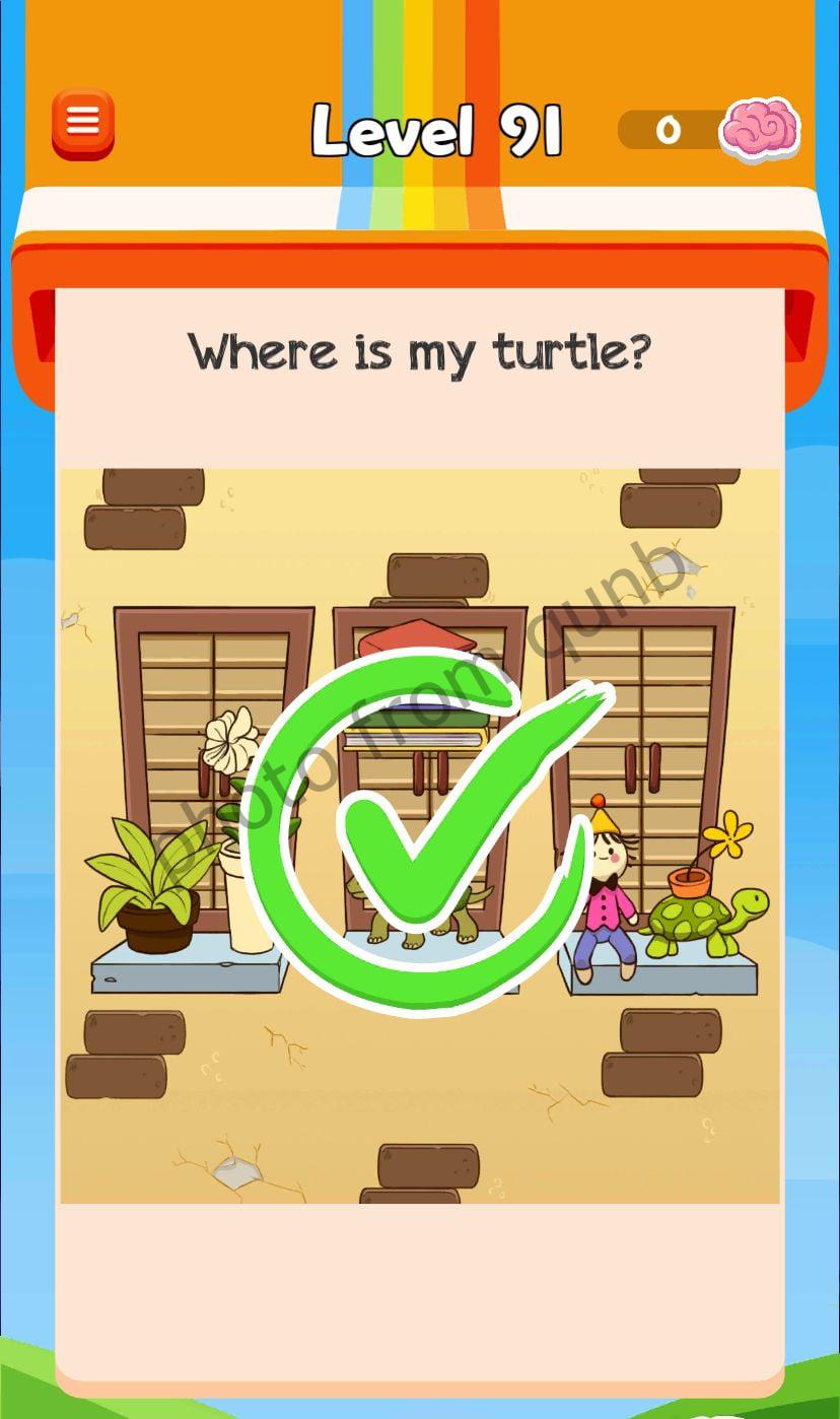 Braindom 3 Level 91 Where is my turtle Answers