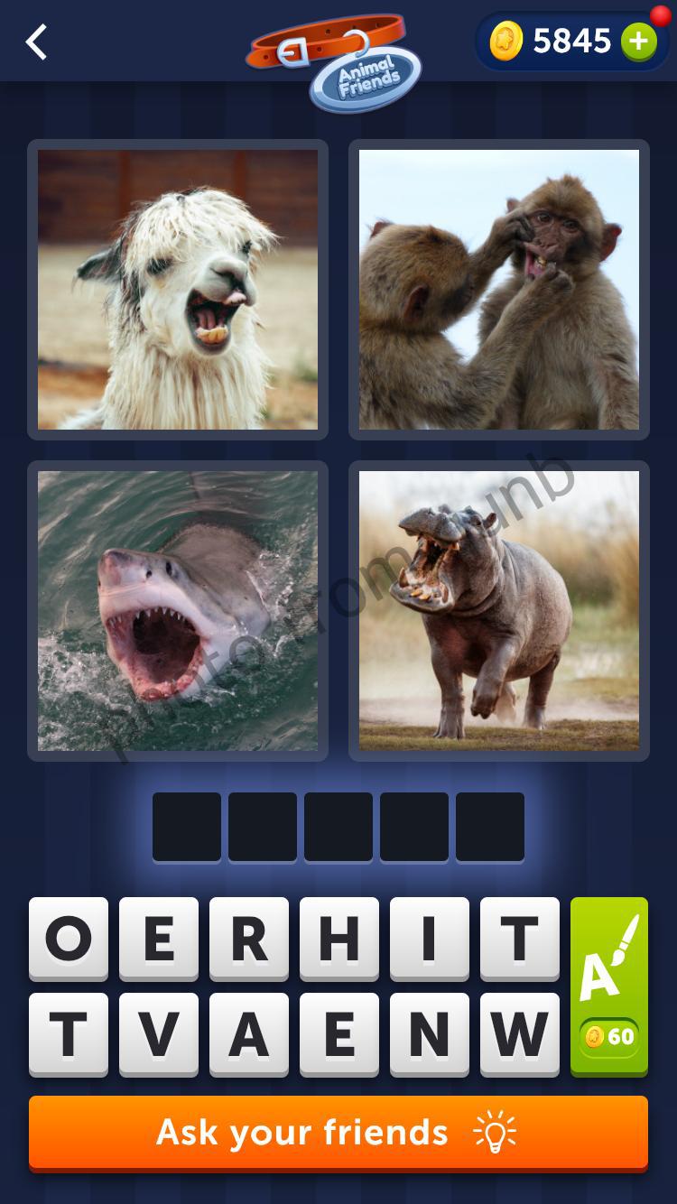 4 Pics 1 Word Daily Puzzle February 24 2022 Answer » qunb