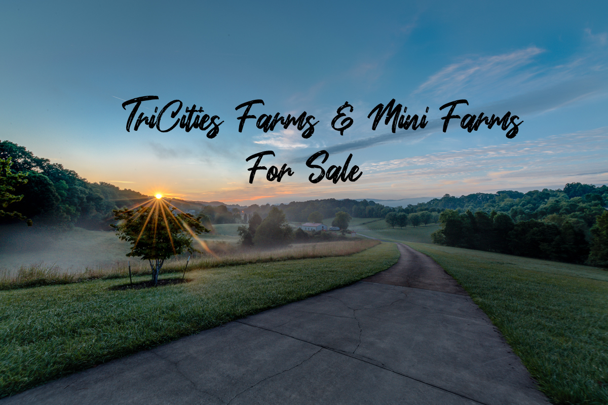 TriCities Farms & MiniFarms For Sale