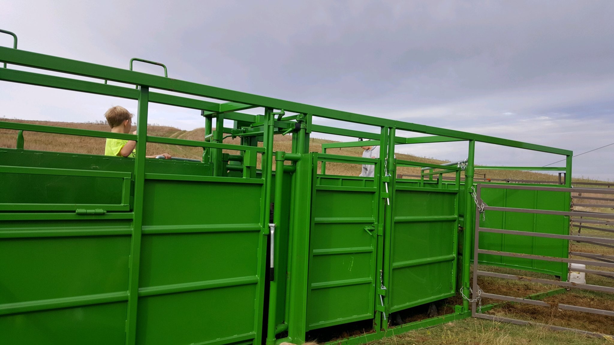 Portable Handling System Livestock Handling Systems