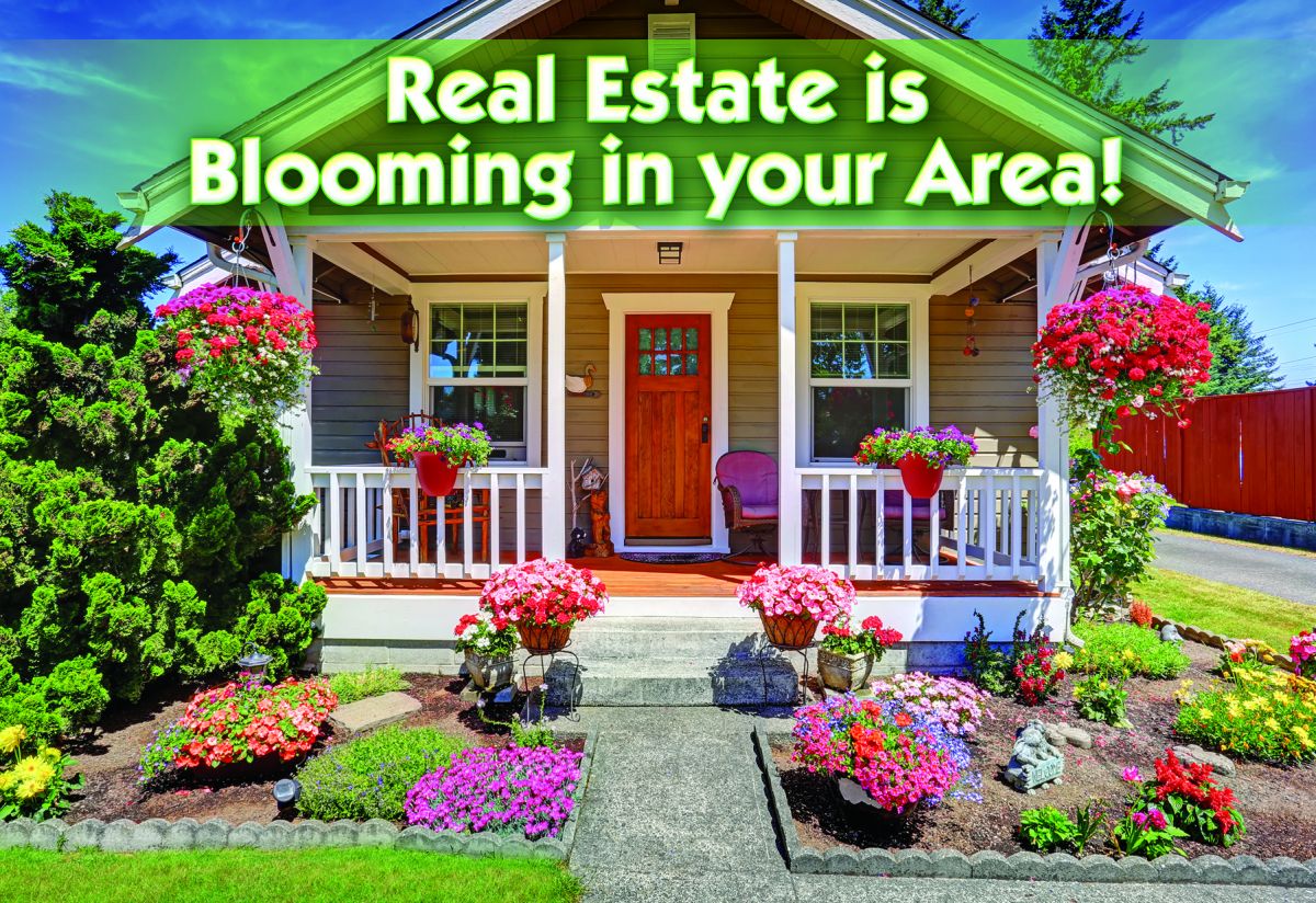 Neighborhood MarketingPostcards Real Estate Blooming