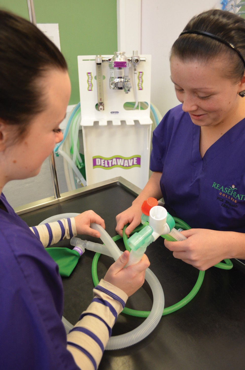 vetnursing2 Reaseheath College