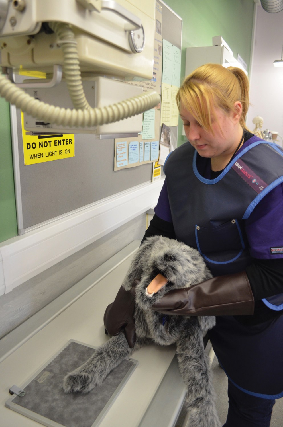 vetnursing4 Reaseheath College