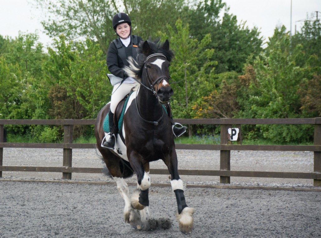 Study Equine at Reaseheath College Reaseheath College