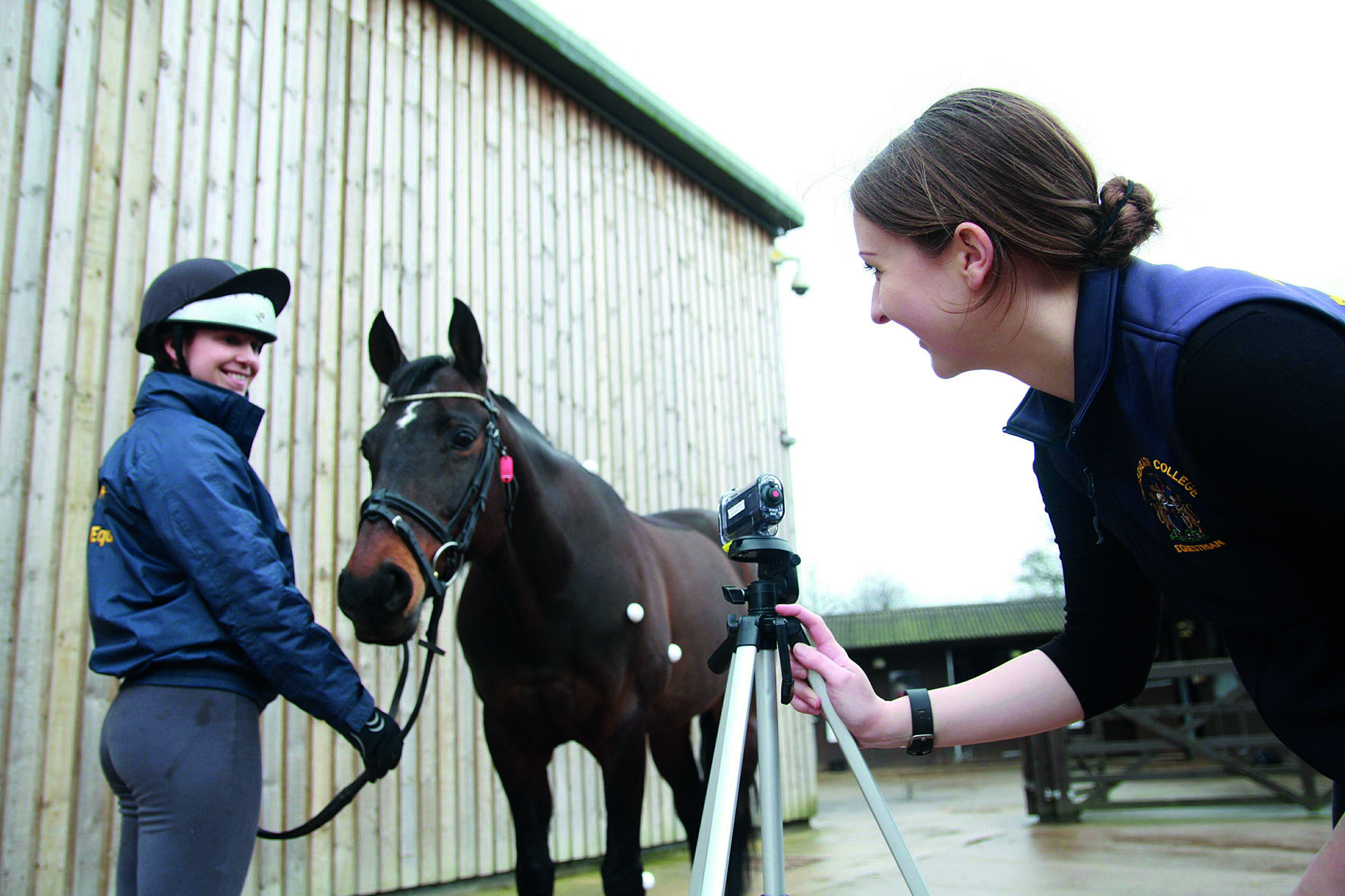 HE Equine Equine Science & Business Management Reaseheath College