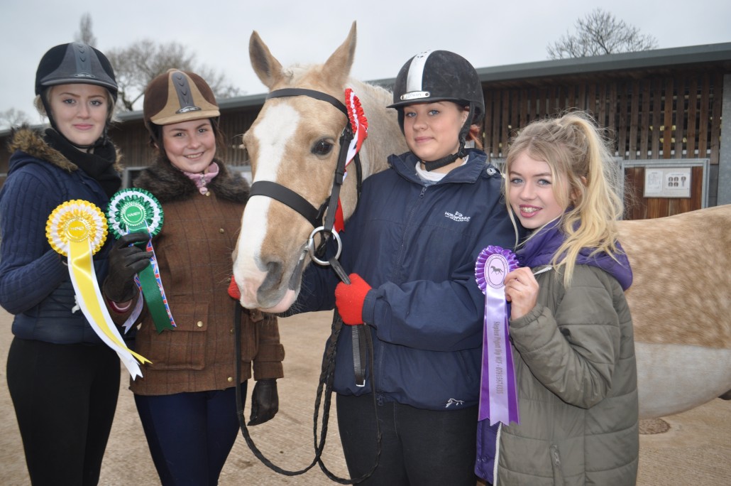 Horse care apprentices on show during National Apprenticeship Week
