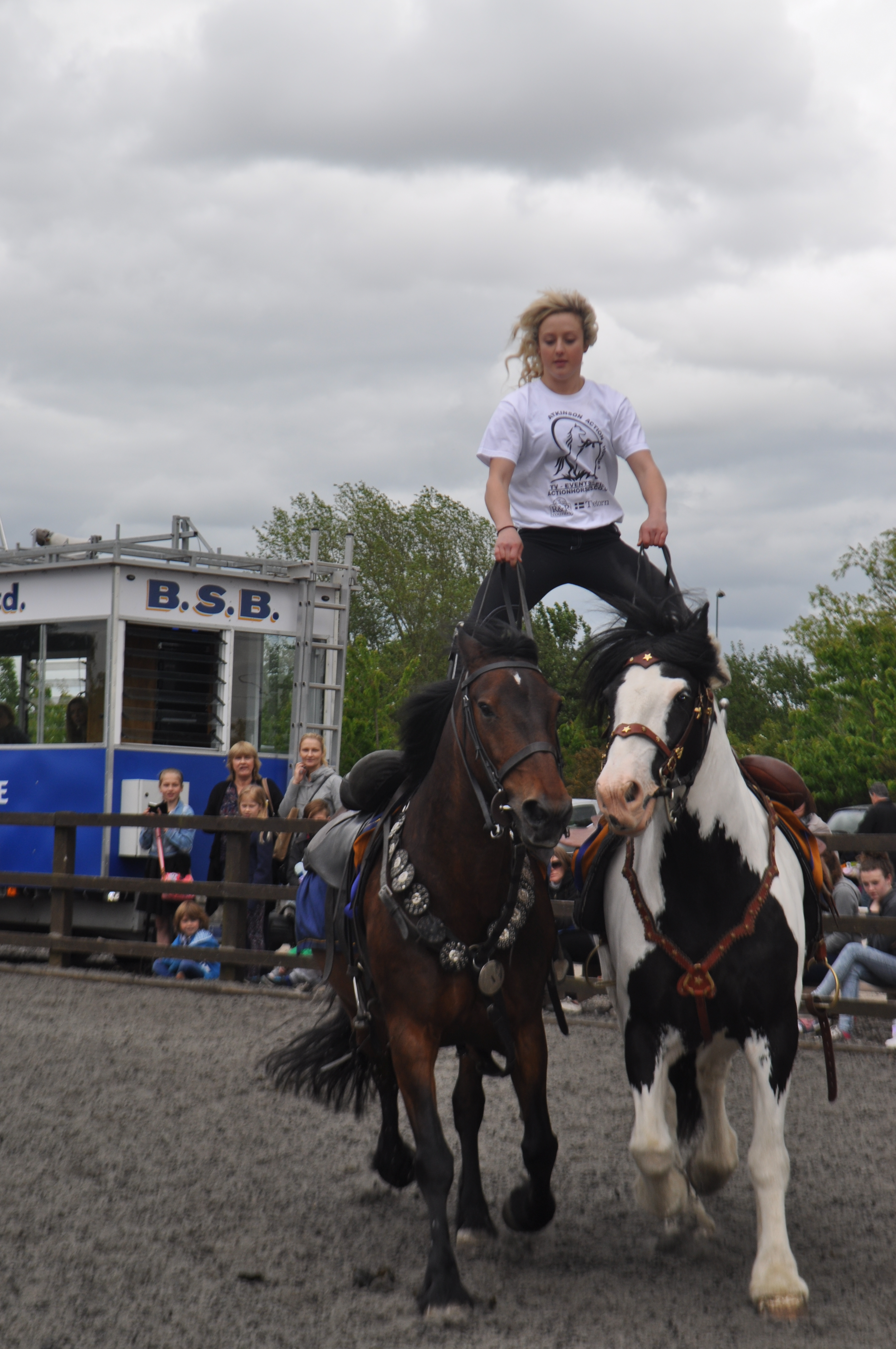Atkinson Action Horses Roman riding Reaseheath College